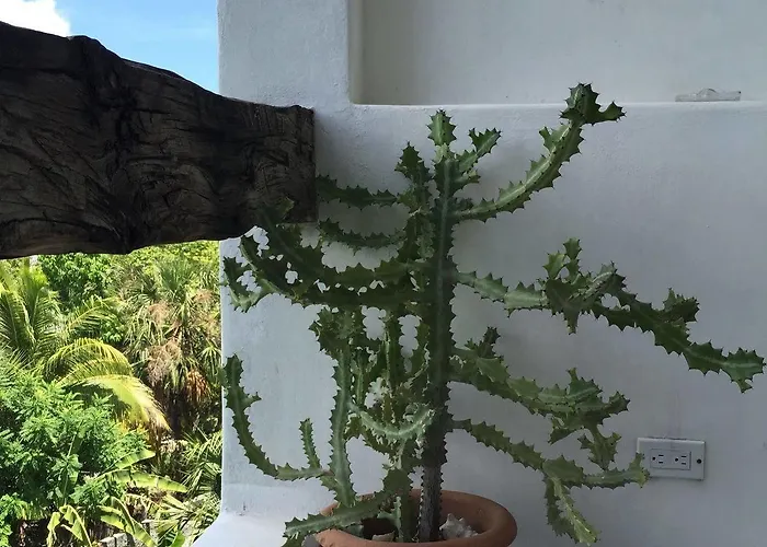 Mi Casa En *