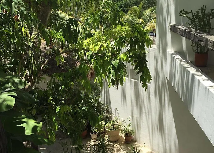 Mi Casa En *